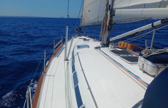 Bavaria 50 Amor