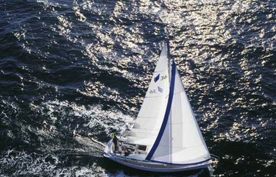 Bavaria Cruiser 36 Mola 11 C Flensburg