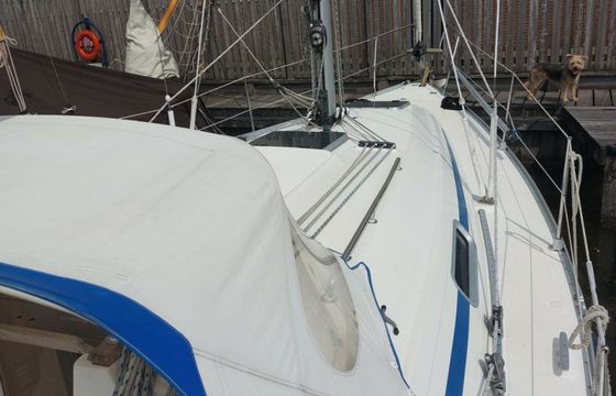 Bavaria Cruiser 32 Jent