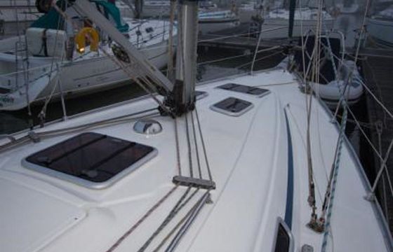 Bavaria Cruiser 36 Appaloosa
