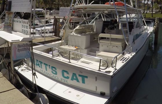 Benchmark 38 Matt's Cat
