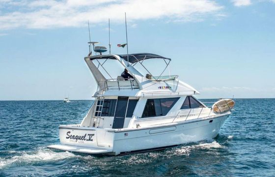 Bayliner 3988 Seaquel 5