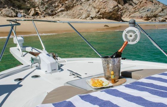 Bayliner 3988 Seaquel 5