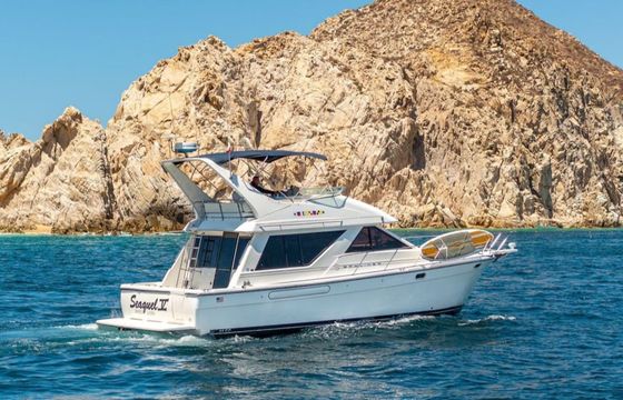 Bayliner 3988 Seaquel 5