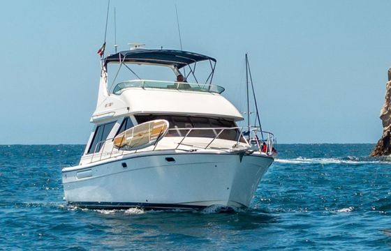 Bayliner 3988 Seaquel 5