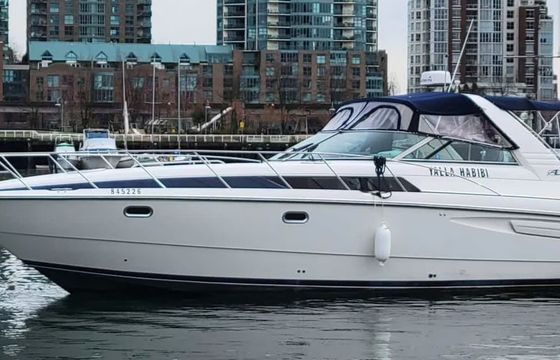 Bayliner Avanti 4085 Express Yalla Habibi