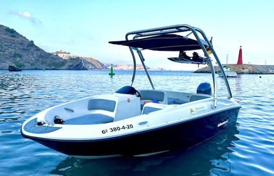 Bayliner E5 19