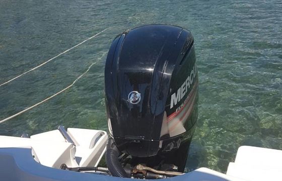Bayliner Element Pjenica