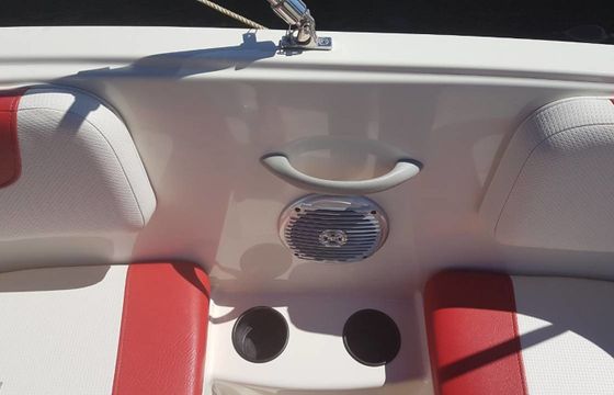 Bayliner Element Pjenica