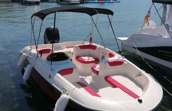 Bayliner Element Pjenica