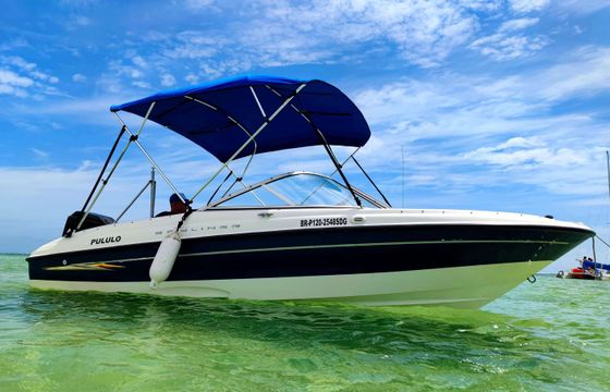 Bayliner 185 Pululo