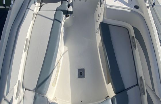 Bayliner 249 SD Floky