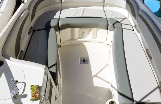 Bayliner 249 SD Floky