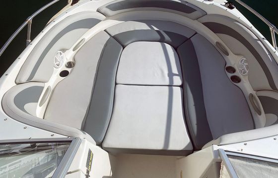 Bayliner 249 SD Floky