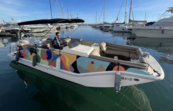 Bayliner Element Jarana