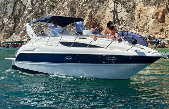 Bayliner 305 Bee Rich