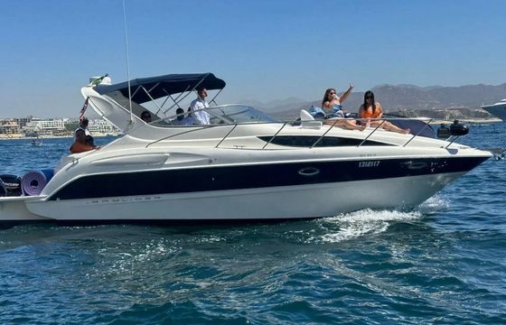 Bayliner 305 Bee Rich