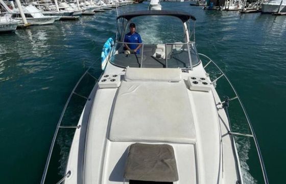 Bayliner 305 Bee Rich