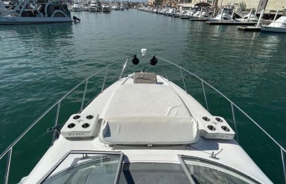 Bayliner 305 Bee Rich