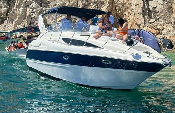 Bayliner 305 Bee Rich