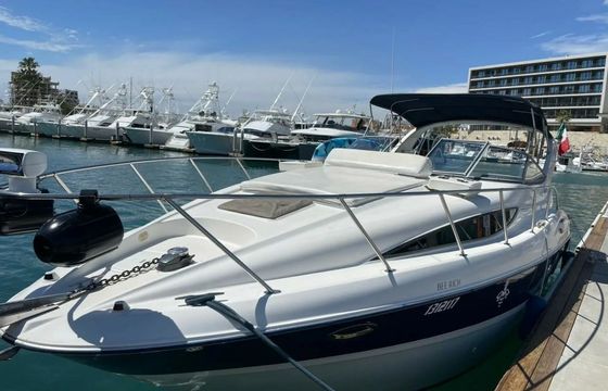 Bayliner 305 Bee Rich