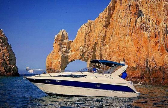 Bayliner 305 Bee Rich