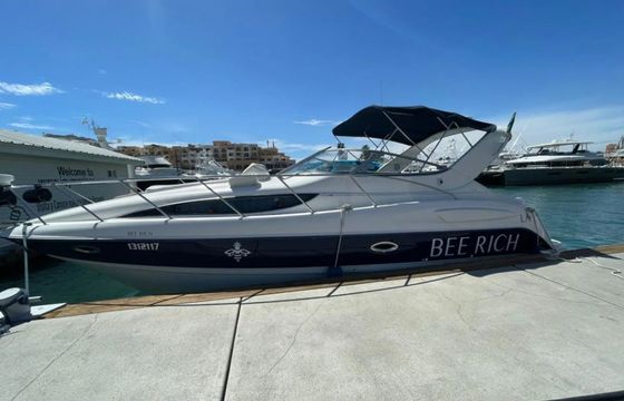 Bayliner 305 Bee Rich