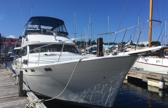 Bayliner 3888 Ocean Pearl