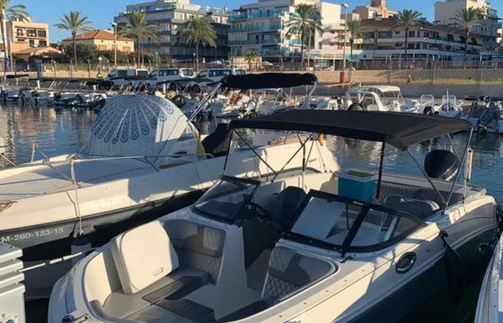 Bayliner VR6 OE Goodday