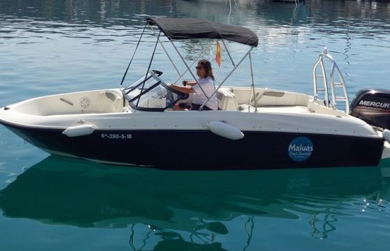 Bayliner Element Maluas 1.0