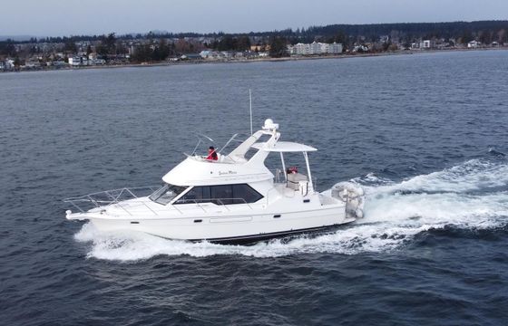 Bayliner 4087 Shaya Moya