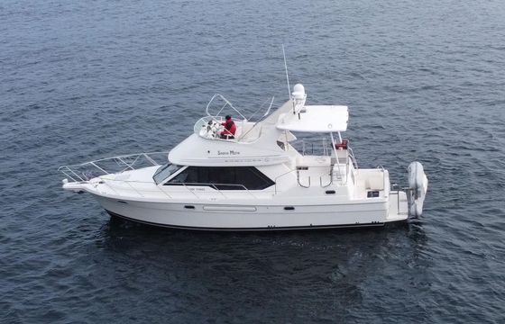 Bayliner 4087 Shaya Moya