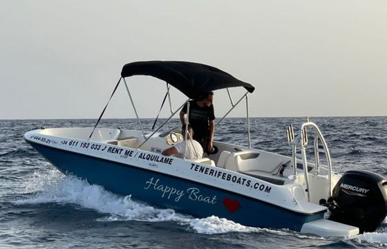 Bayliner E18 Happy Boat