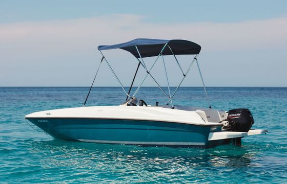 Bayliner Element Elena