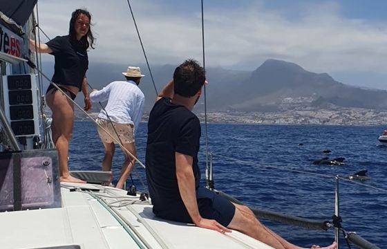 Beneteau First 45 Sonador