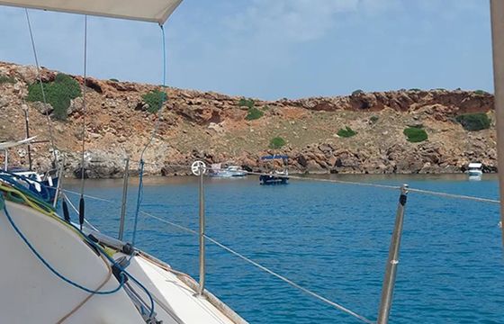 Beneteau First 31.7 Avispa 3