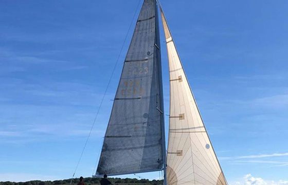Beneteau First 31.7 Avispa 3