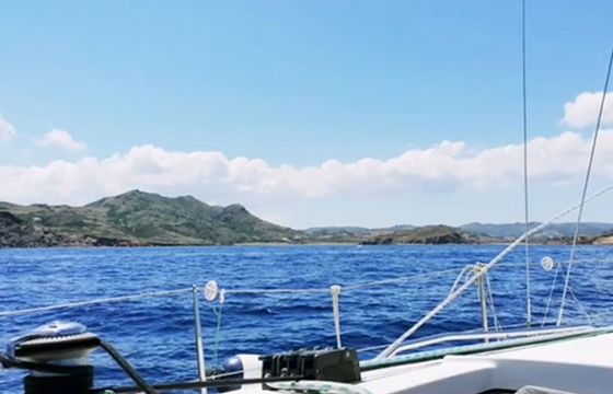 Beneteau First 31.7 Avispa 3