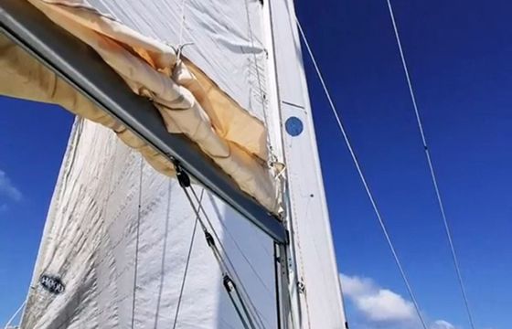 Beneteau First 31.7 Avispa 3
