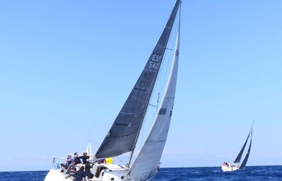 Beneteau First 31.7 Avispa 3