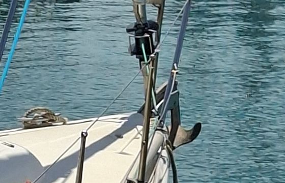 Beneteau First 31.7 Dindarella