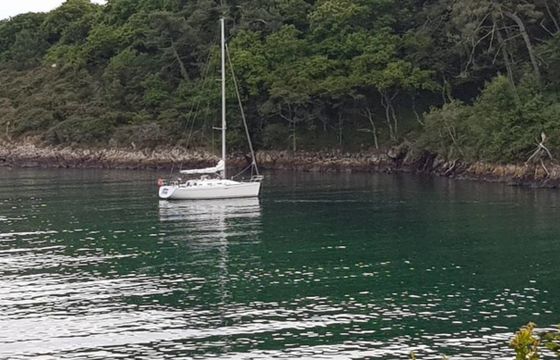Beneteau First 36.7 Lota 4