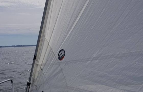 Beneteau First 36.7 Lota 4