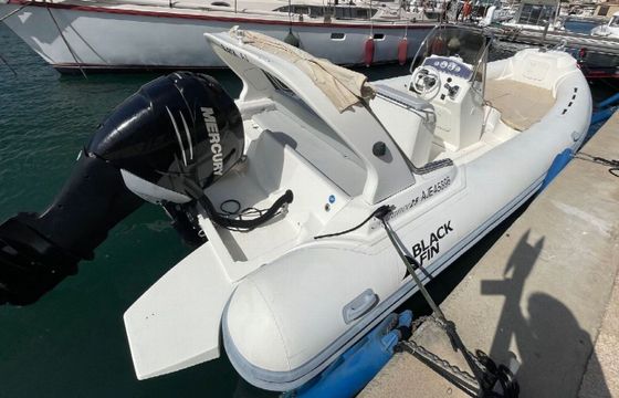 Black Fin Elegance 25 11