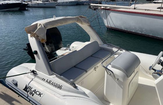 Black Fin Elegance 25 11