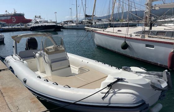 Black Fin Elegance 25 11