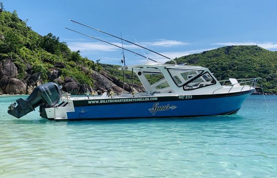 Bertram 39 Spear