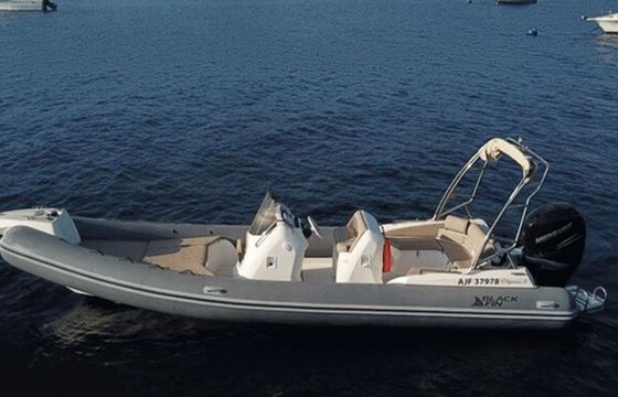 Black Fin Elegance 8 20