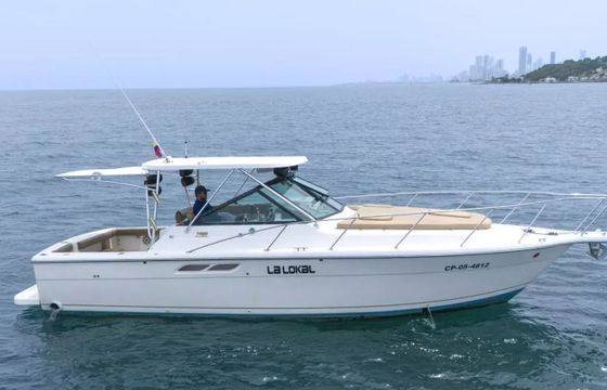 Bertram 31 La Lokal