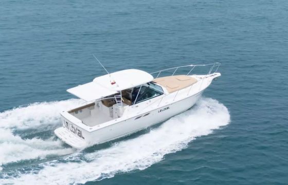 Bertram 31 La Lokal